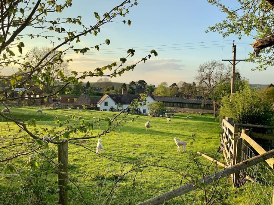 Apartament The Cart House - Beautiful Contemporary Barn - Hot Tub Bridgnorth Zewnętrze zdjęcie